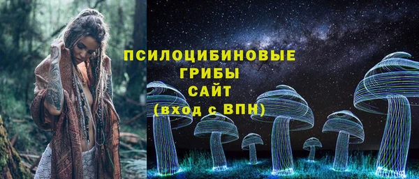 мет Ладушкин