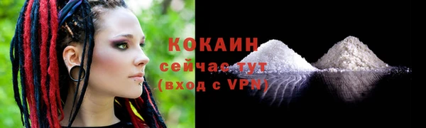 сатива Лагань