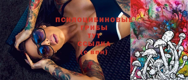 сатива Лагань