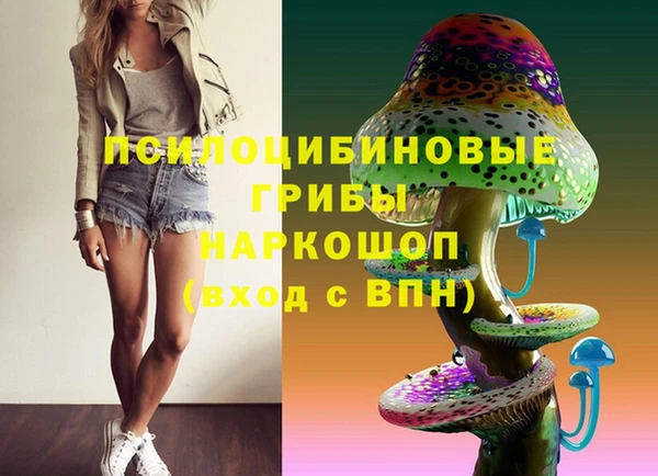 сатива Лагань