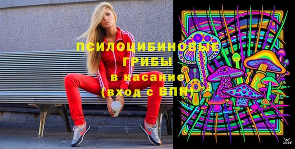 сатива Лагань