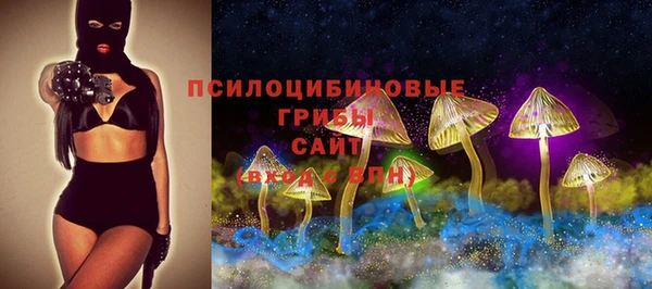 сатива Лагань