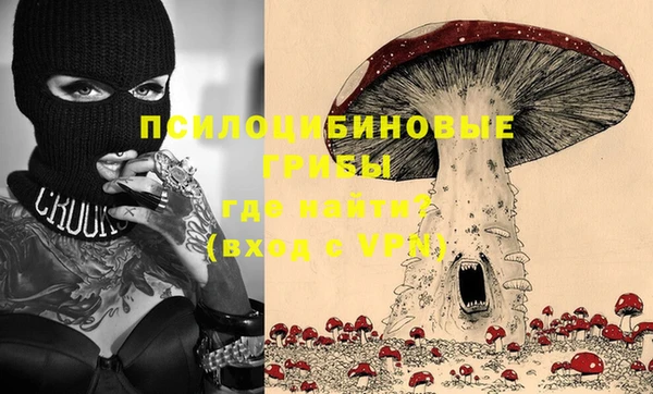 мет Ладушкин