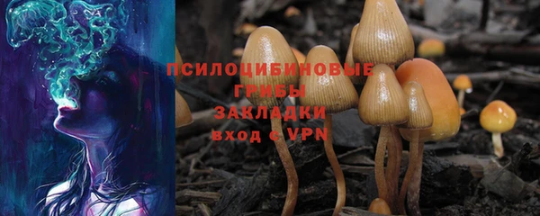 мет Ладушкин