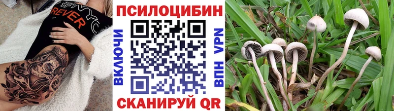 магазин продажи наркотиков  Талдом  Псилоцибиновые грибы мицелий 